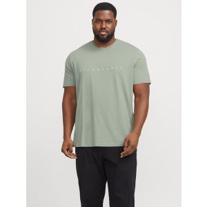 Jack & Jones T-shirt Star Iceberg Green